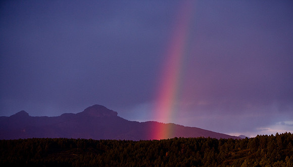 Colorado Rainbow