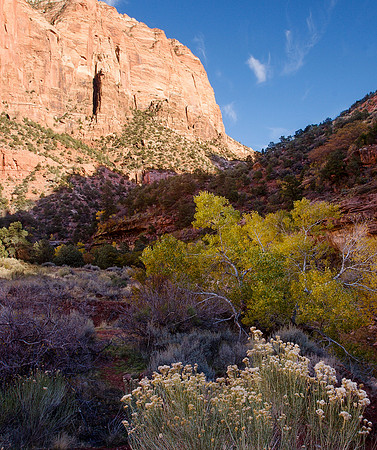 Zion National Park