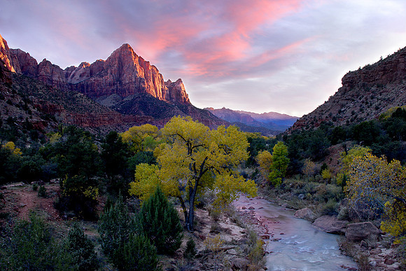 The Watchman